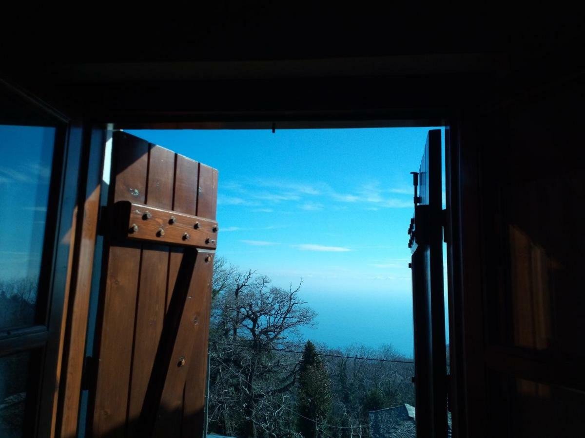 Giordani Guesthouse تساغارادا المظهر الخارجي الصورة